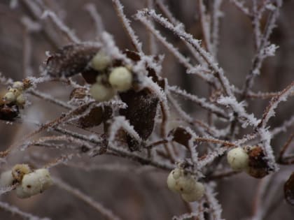 В Самарской области побит температурный рекорд 22-летней давности