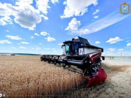 Аграрии региона убрали 276 тыс. га зерновых культур