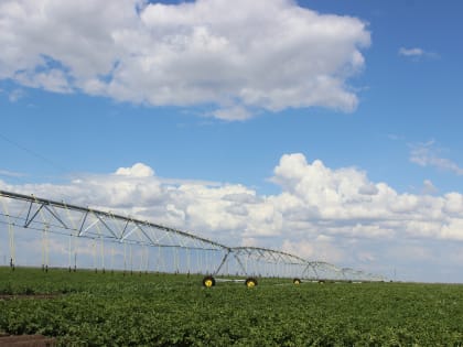 С помощью господдержки. В Самарской области увеличится площадь мелиорируемых земель