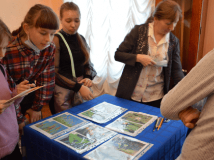 Краеведческий музей Сызрани достанет из запасников насекомых