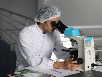 В Самарской области нашли клещей с энцефалитом