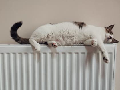 Отопительный сезон в Тольятти начнется с 5 октября