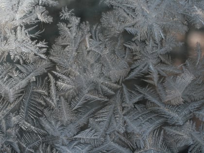 Синоптики рассказали, когда в Самарской области ослабнут морозы