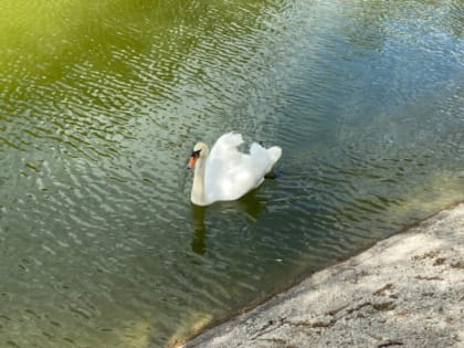 В Самарскую область идет жара: объявлен повышенный уровень опасности