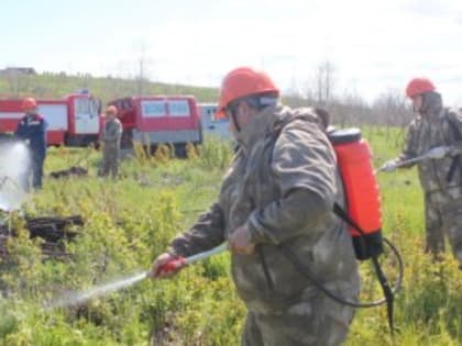 В Тольятти прошли тактические учения по тушению лесных пожаров