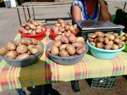 Откровения продавцов о ценах на рынках: почем будет картошка осенью 2022 года