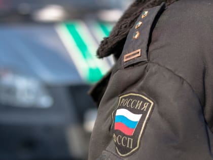 Приставы смогут взыскивать долги в автоматическом режиме