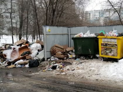 Власти Сызрани объяснили страшный вид городских помоек