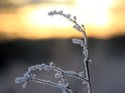 В Самарской области ожидается минусовая температура воздуха