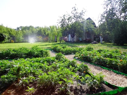 Обновленная «дачная амнистия» вступит в силу с 1 июля