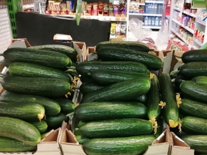 Крокодил не ловится, не растет кокос: в чем секрет шоковых цен на огурцы в магазинах
