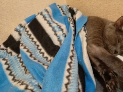 В мэрии Самары рассказали об отключении отопления в высотках