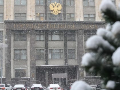 В Госдуме разъяснили, на кого могут распространяться поправки о проезде через границу