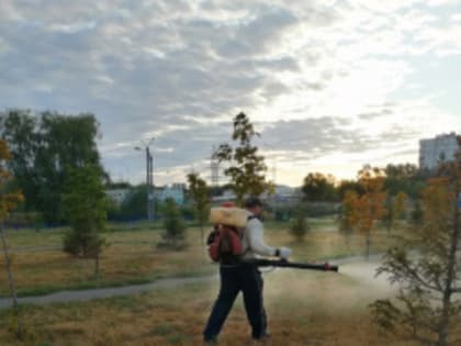 Обработка от клещей уже началась