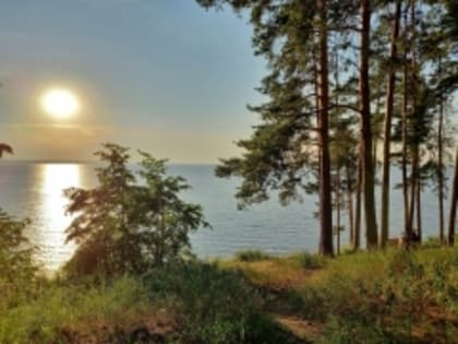 Мониторинг качества атмосферного воздуха