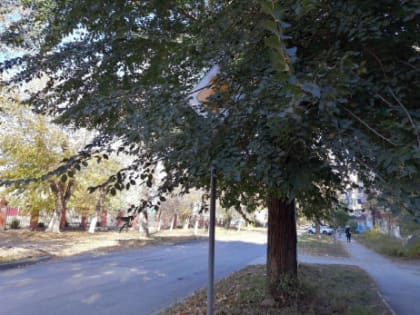 В Сызрани на сэкономленные деньги прорубают пути в детсады и школы