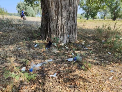 Вышли на «Чистый Проран»