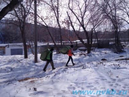 Отлов безнадзорных животных