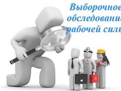 Федеральное статистическое наблюдение