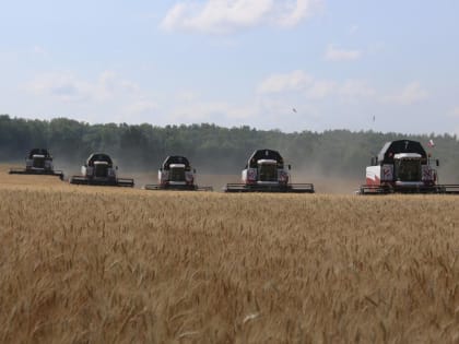 Уборочная страда в районе вступила в завершающую стадию