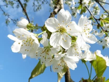 ПРИМИТЕ ПОЗДРАВЛЕНИЯ