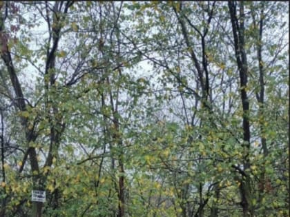 Вода из скважины у "Острова детства" соответствует санитарным нормам