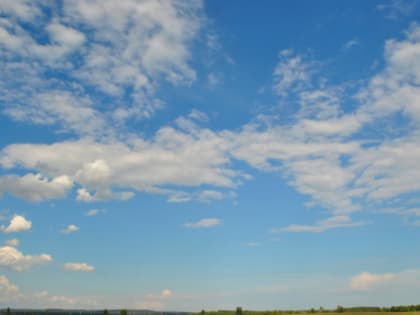 Предупреждение региональных властей! В Самарской области спрогнозировали максимальную жару