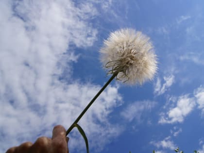 В Самарской области ожидается ночное похолодание