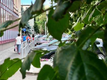 Доступ к власти для граждан стал проще