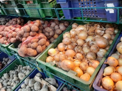 Огурцы по 1 000 за кило и «золотой» лук: почему дорожают овощи в магазинах