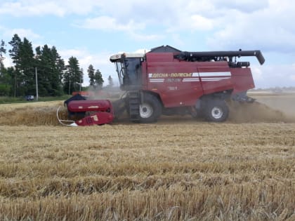 #Прямосейчас. В Самарской области в самом разгаре уборка урожая