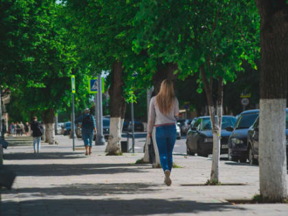 Новые законы августа, как получить 360 тысяч рублей от государства и грядущие заморозки: важное к этому часу