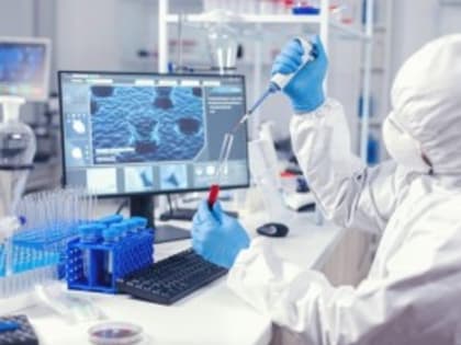 Ученые создали заменитель мяса из личинок