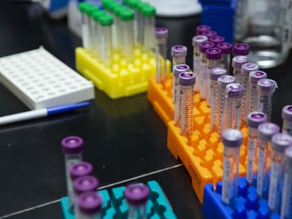 Жителям Сызрани рассказали о способе диагностики метапневмовируса
