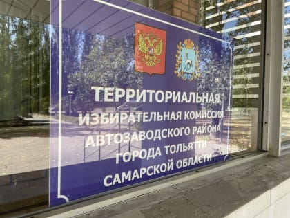 Обанкротившийся педагог из Ульяновска решила поиграть в тольяттинскую политику