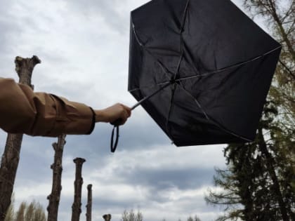 В субботу грозы и шквалистый ветер. В Самаре объявили новую опасность