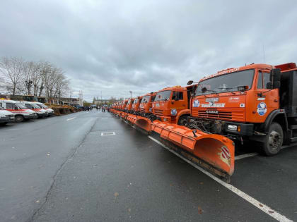 Больше техники, меньше грязи: 130 спецмашин будут чистить Тольятти от снега