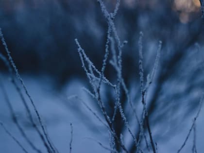 Это зимой нас ждет бесчинство погоды: синоптики обновили свой прогноз