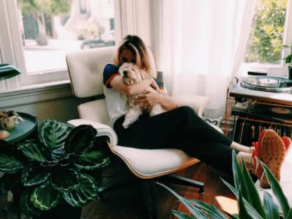 Птичий грипп приобрел собачьи черты и стал ближе, а значит опаснее для человека