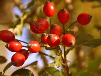 Народные приметы: 1 октября. Что нельзя делать, чтобы не сократить свою жизнь