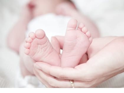 В Тольятти стартует акция «Счастье в дом»