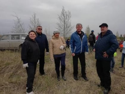 Акция «Восстановим лес вместе» объединяет неравнодушных жителей и организации Тольятти