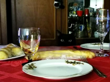 Эксперты раскрыли новые факты о раке: что алкоголь делает с ДНК человека