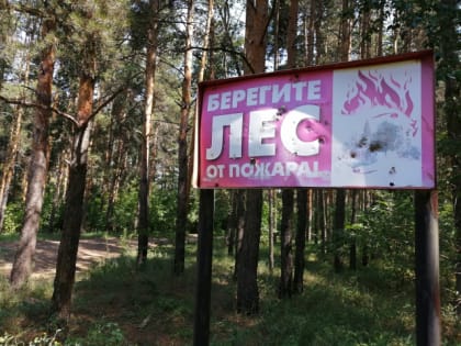 За переход - 300, купание - 500, за проезд - 1000: теперь горожан Сызрани будут штрафовать по-настоящему