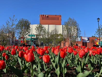 В Самаре откроется выставка кукол «Маленький мир»