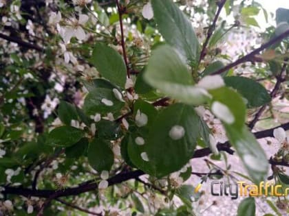 Последний понедельник апреля начнется с&nbsp;грозы в&nbsp;Самарской области