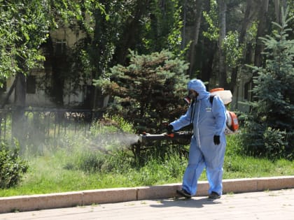 Ларвицидная обработка: на общественных территориях  Самары истребляют кровососущих насекомых