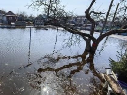 Сетевые организации Самарской области приняли меры по повышению безопасности функционирования электроэнергетических объектов в паводковый и пожароопасный периоды