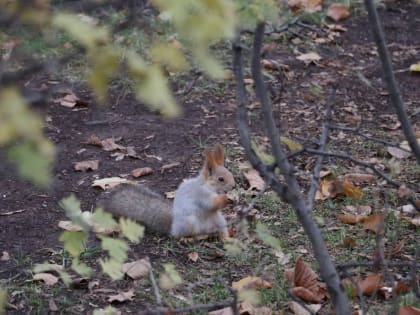 В Самарскую область придет теплая и безветренная погода