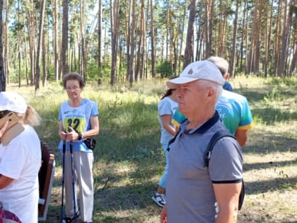 Всем ходить по-скандинавски! В Тольятти проходит фестиваль скандинавской ходьбы «Золотые Жигули»